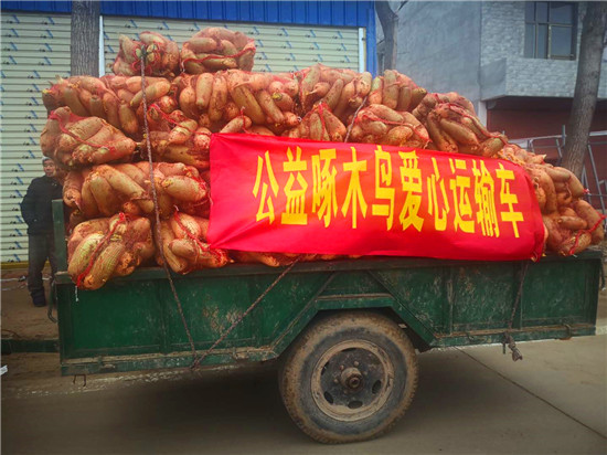 ＂愛心蘿卜＂來了！