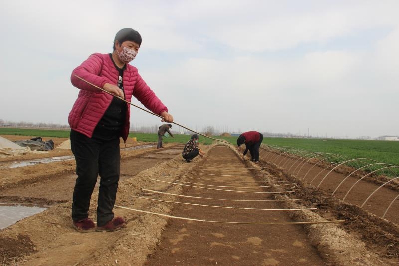 疫情防控、春耕生產(chǎn)兩手抓